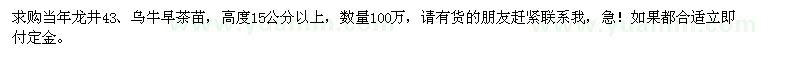 求購高度15公分以上當年龍井、烏牛早茶苗100萬