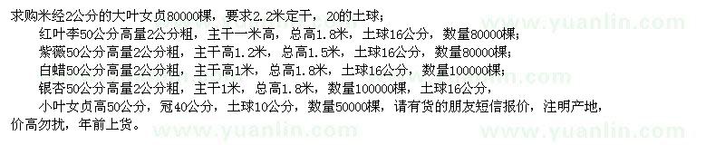 求購(gòu)大葉女貞、紅葉李、紫薇、白蠟、銀杏、小葉女貞