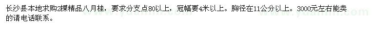 求購2棵精品八月桂