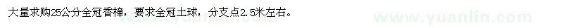 求購25公分全冠香樟