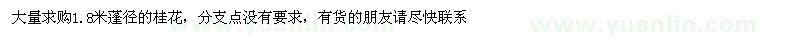 求購1.8米蓬徑的桂花