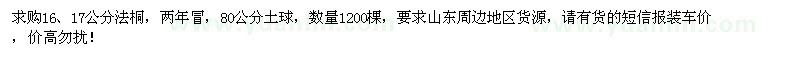 求購16、17公分法桐1200棵