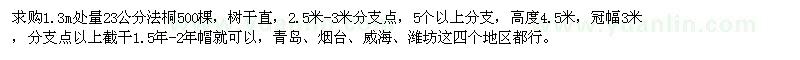 求購23公分法桐500棵