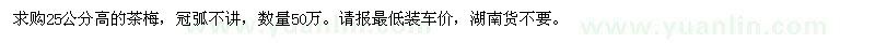 求購25公分高的茶梅