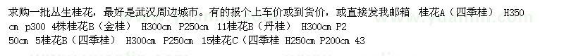 求購一批叢生桂花