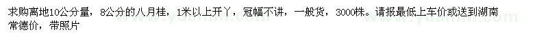 求購(gòu)八月桂離地10公分量，8公分的
