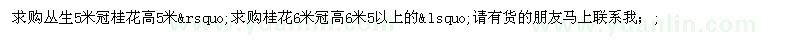 求購桂花