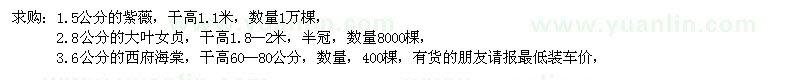 求購(gòu)紫薇、大葉女貞、西府海棠