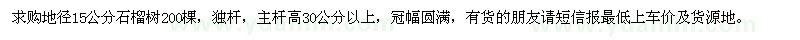 求購地徑15公分石榴樹