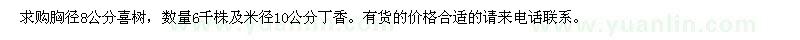 求購胸徑8公分喜樹，數(shù)量6千株及米徑10公分丁香。