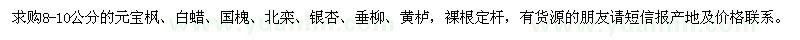 求購元寶楓、白蠟、國槐、北欒、銀杏、垂柳、黃櫨