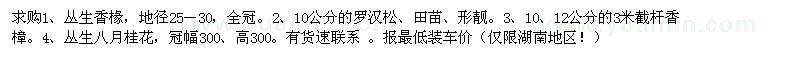 求購湖南地區(qū)叢生香椽，羅漢松、香樟