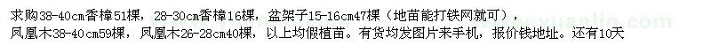 求購香樟,盆架子,鳳凰木,秋楓