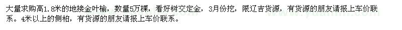 求購高1.8米的地接金葉榆,4米以上的側柏