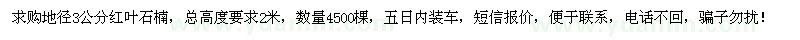 求購地徑3公分紅葉石楠