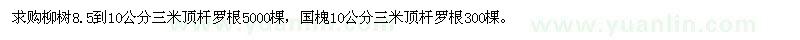 求購柳樹、國槐 