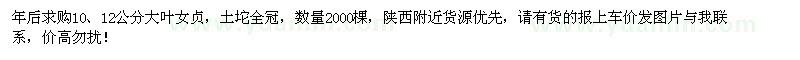 求購10、12公分大葉女貞2000棵