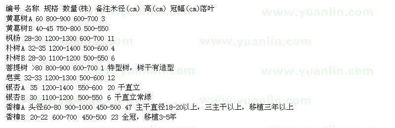 求購黃葛樹 風(fēng)揚(yáng) 樸樹 菩提樹