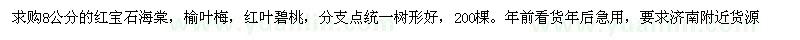 求購8公分的紅寶石海棠，榆葉梅，紅葉碧桃
