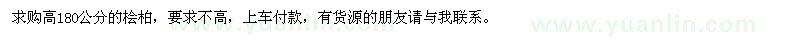 求購高180公分的檜柏