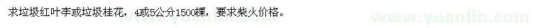 求購垃圾紅葉李或垃圾桂花