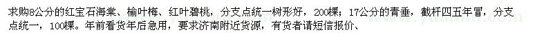 求購(gòu)8公分的紅寶石海棠,榆葉梅,紅葉碧桃,17公分的青垂