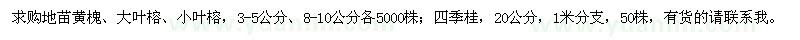 求購(gòu)黃槐,大葉榕,小葉榕,四季桂