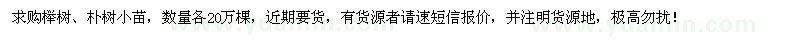 求購(gòu)櫸樹(shù)、樸樹(shù)小苗各20萬(wàn)棵