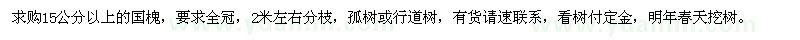 求購15公分以上的國槐
