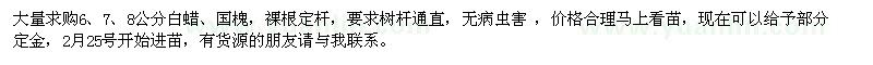 求購大量6、7、8公分白蠟 國槐