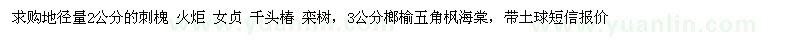 求購地徑量2公分的刺槐 火炬 女貞 千頭椿 欒樹