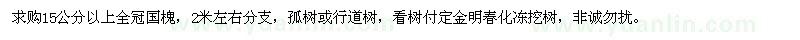 求購15公分以上全冠國槐
