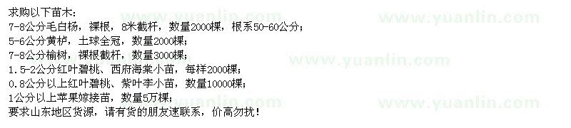 求購(gòu)毛白楊、黃櫨、榆樹(shù)、紅葉碧桃等苗木