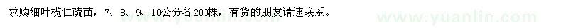 求購(gòu)細(xì)葉欖仁疏苗