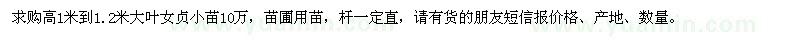 求購(gòu)高1-1.2米大葉女貞小苗10萬(wàn)