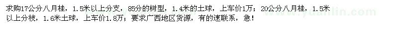 求購17、20公分八月桂