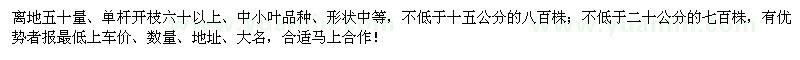 求購羅漢松