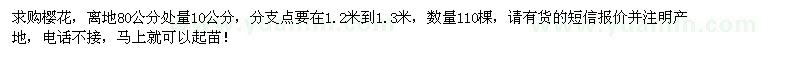 求購10公分櫻花 