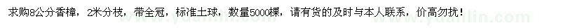 求購8公分香樟5000棵