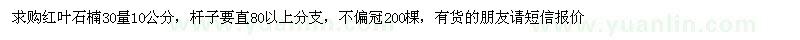 求購紅葉石楠30量10公分 不偏冠200棵