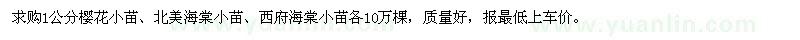 求購櫻花小苗、北美海棠小苗、西府海棠小苗