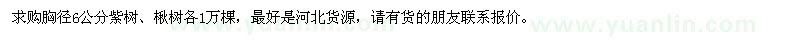 求購胸徑6公分紫樹、楸樹各1萬棵