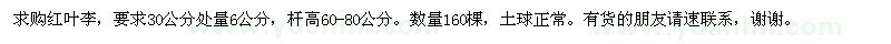 求購6公分紅葉李