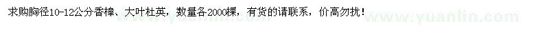 求購(gòu)胸徑10-12公分香樟、大葉杜英各2000棵