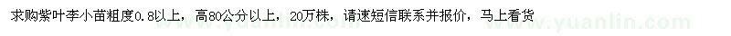 求購紫葉李小苗粗度0.8以上