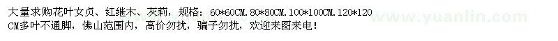 求購(gòu)花葉女貞,紅繼木,灰莉