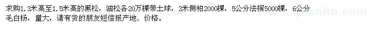 求購黑松、油松、側(cè)柏、法桐、毛白楊