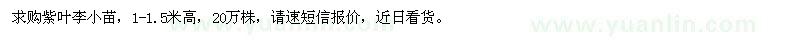 求購紫葉李小苗