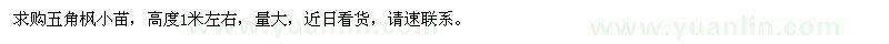 求購五角楓小苗