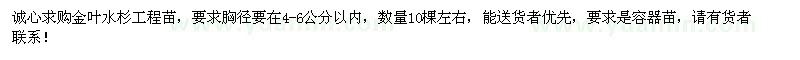 求購金葉水杉工程苗 